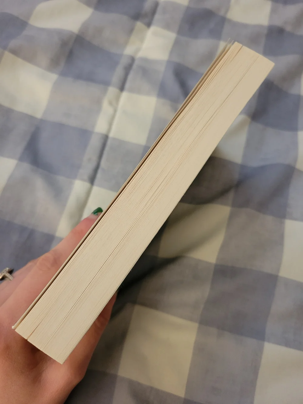 The Inmate by Freida McFadden -  Paperback - Picture 3 of 3